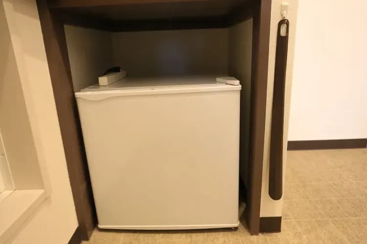 Mini-refrigerator