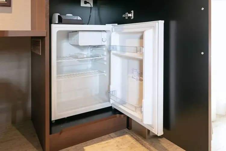 Mini-refrigerator
