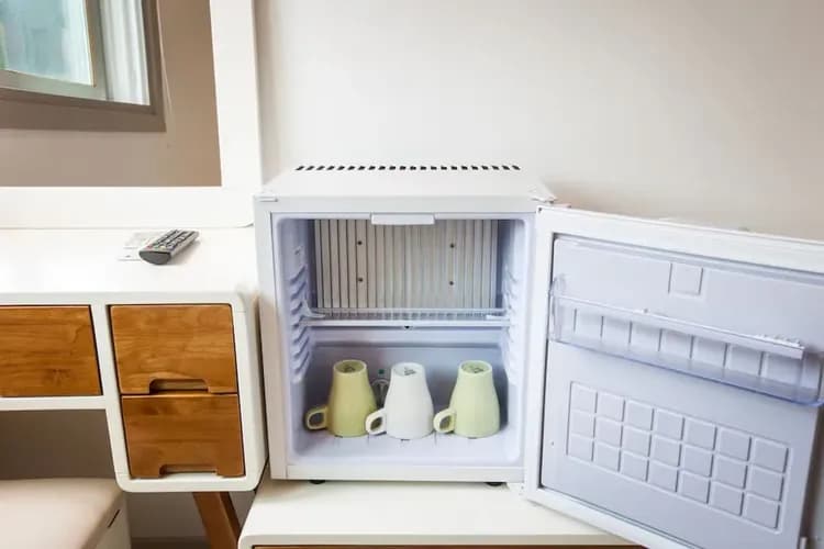 Mini-refrigerator