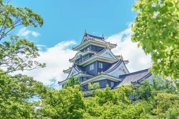 【岡山四國5日 高雄來回】小豆島橄欖公園、栗林公園、金刀比羅宮、大步危遊船、今治毛巾美術館、道後溫泉一晚