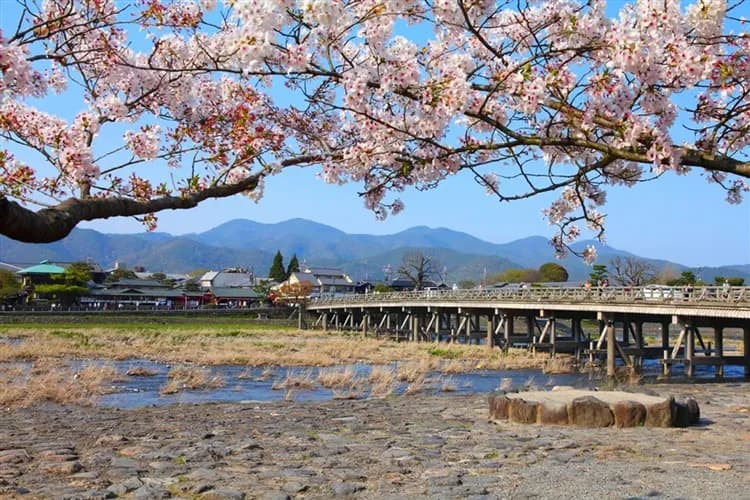 【省最大大阪旅遊5日 高雄來回】京阪神奈-奈良東大寺、梅花鹿公園、嵐山渡月橋、北野異人館街、黑門市場、日本環球影城