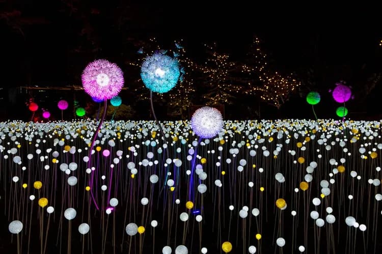 星光庭園Ooozooo－LED藝術裝置
