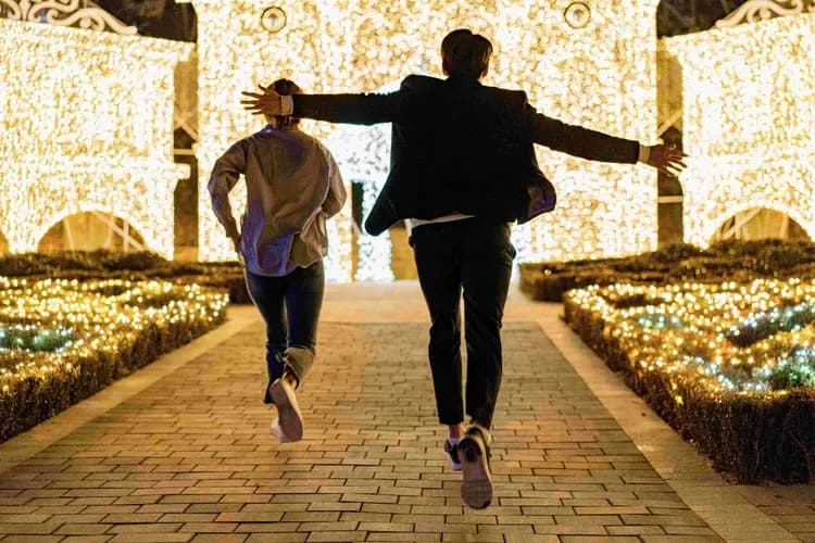 星光庭園Ooozooo－LED藝術裝置