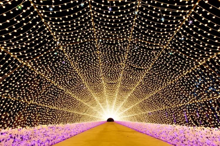 星光庭園Ooozooo－LED藝術裝置