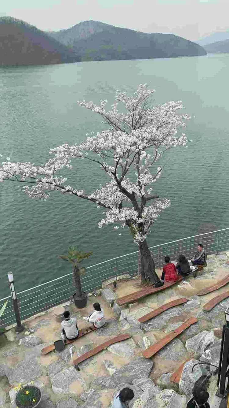 龍仁Green Whale咖啡廳－戶外座位區