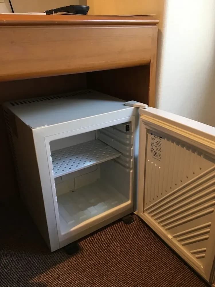 Mini-refrigerator