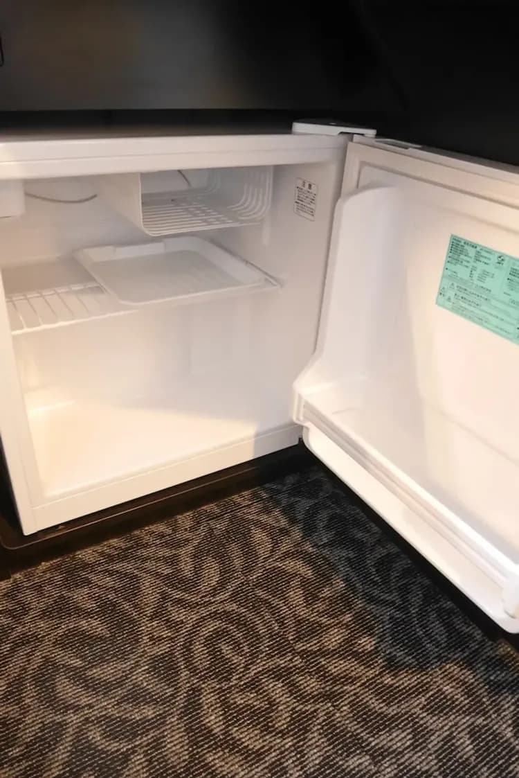 Mini-refrigerator