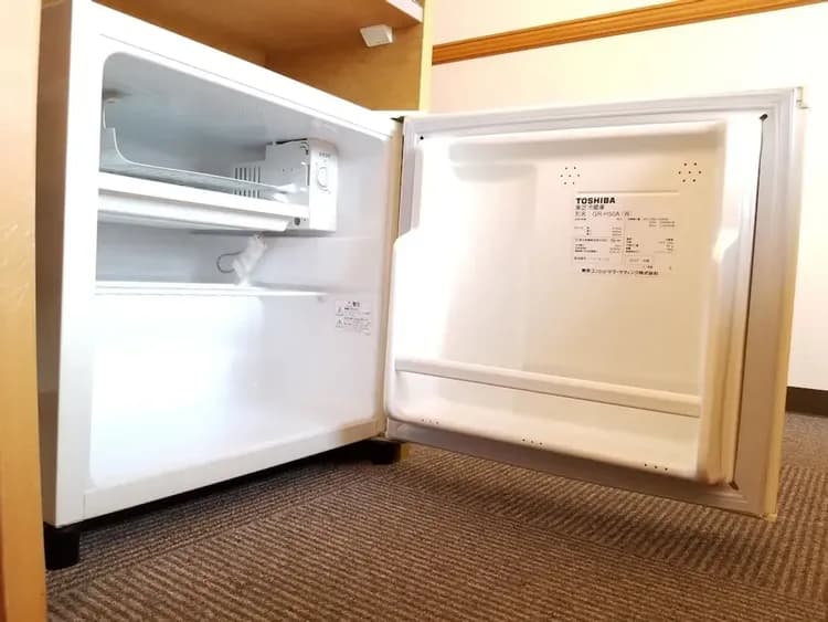 Mini-refrigerator