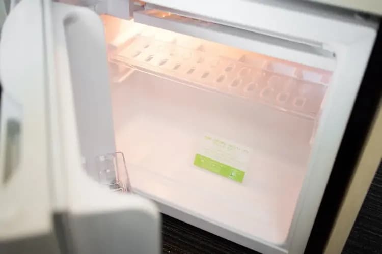 Mini-refrigerator