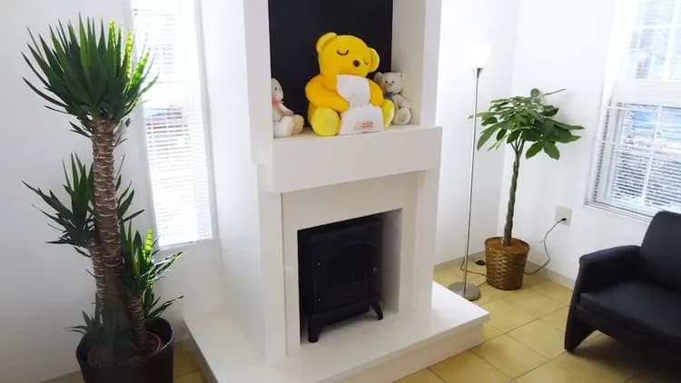 Fireplace