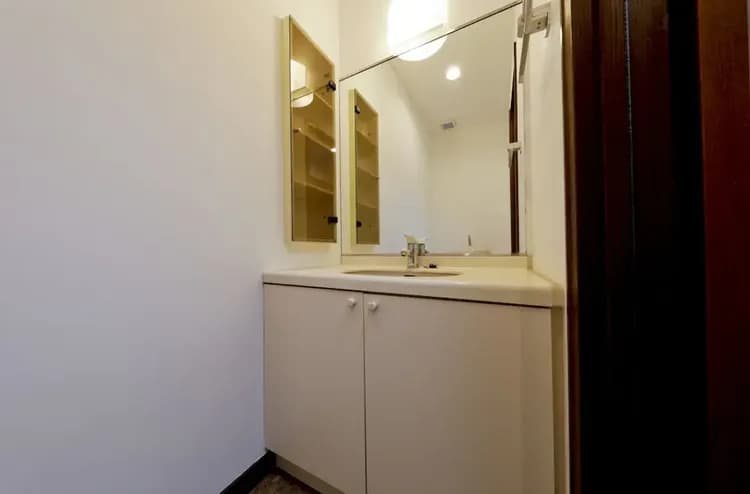 Bathroom sink