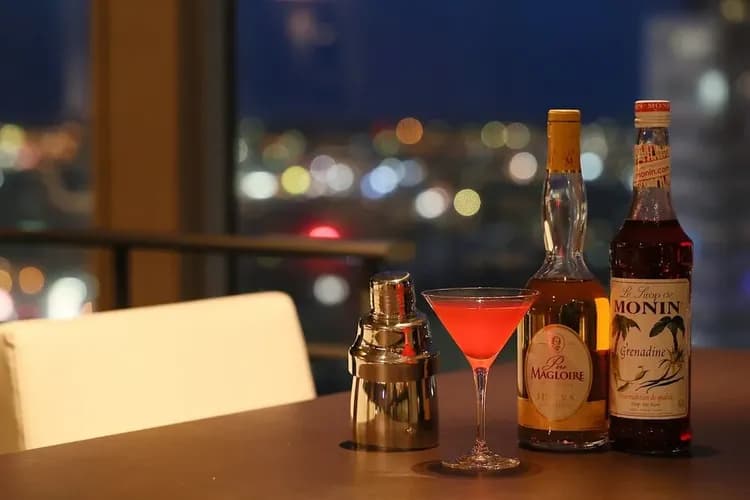 札幌全日空皇冠假日飯店 - IHG 旗下飯店-5