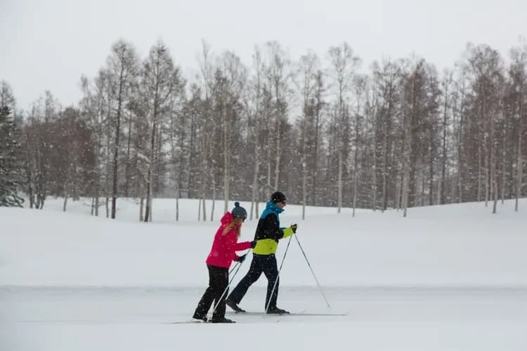 Snow and ski sports