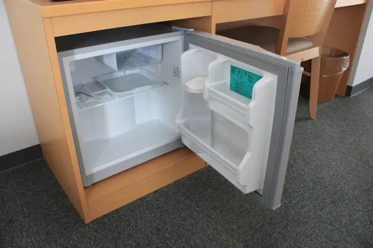 Mini-refrigerator