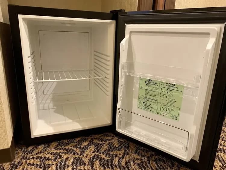 Mini-refrigerator