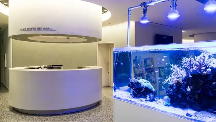 那霸東急REI飯店｜旭橋站步行6分/方便至國際通-19