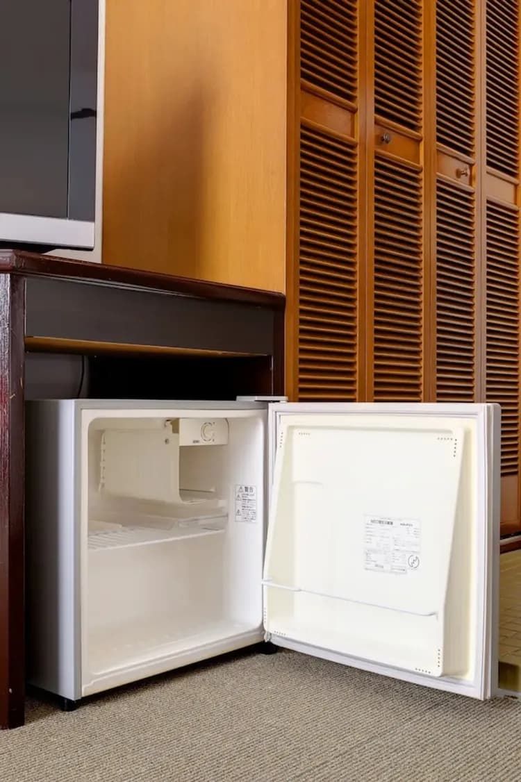 Mini-refrigerator