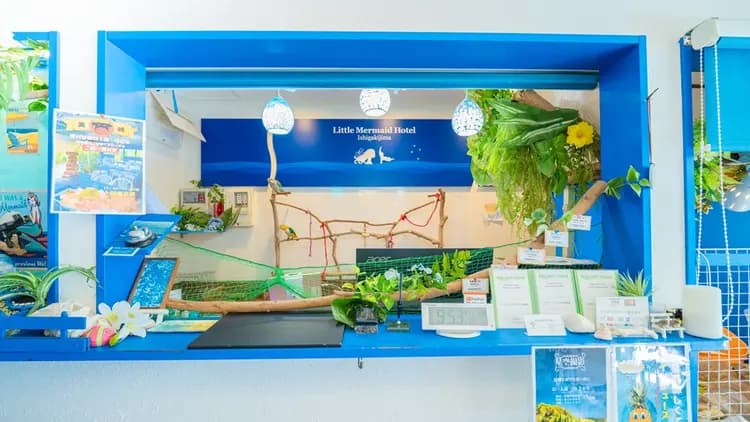 Little Mermaid Hotel Ishigakijima-9