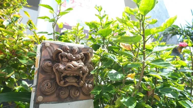 COZY STAY IN 那覇｜市立醫院前站 (沖繩)步行10分-18