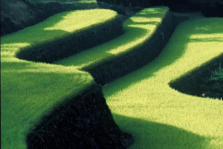 City view from property