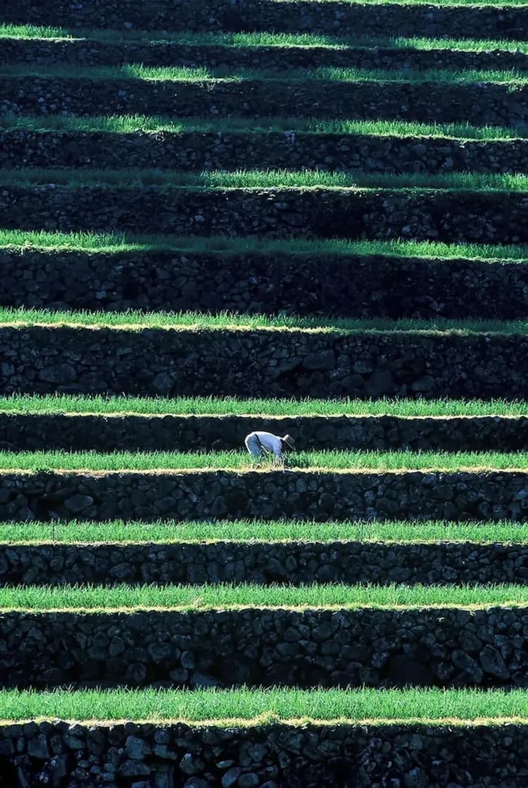 City view from property