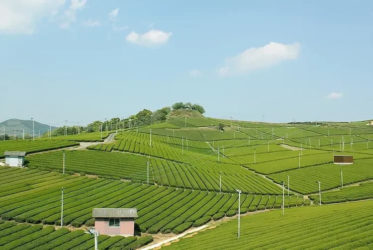 City view from property