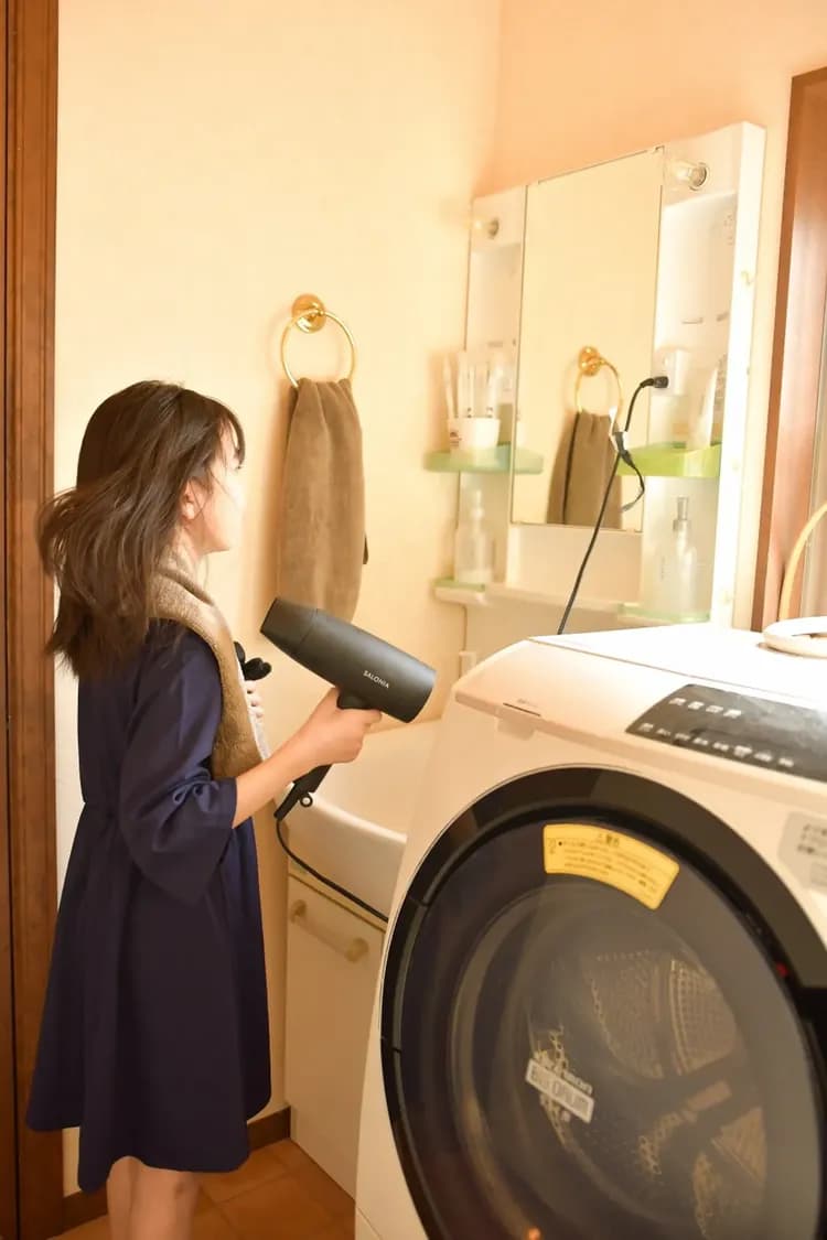 Antiques Gifu Seki-15