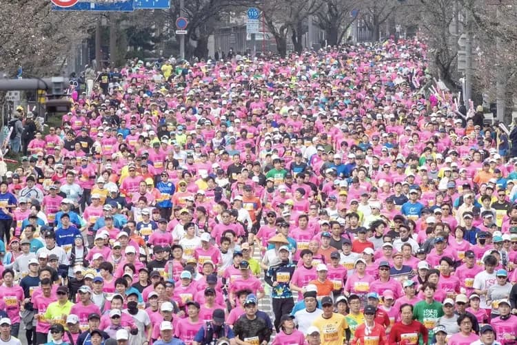 福井櫻花馬拉松