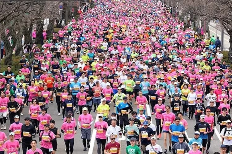 福井櫻花馬拉松