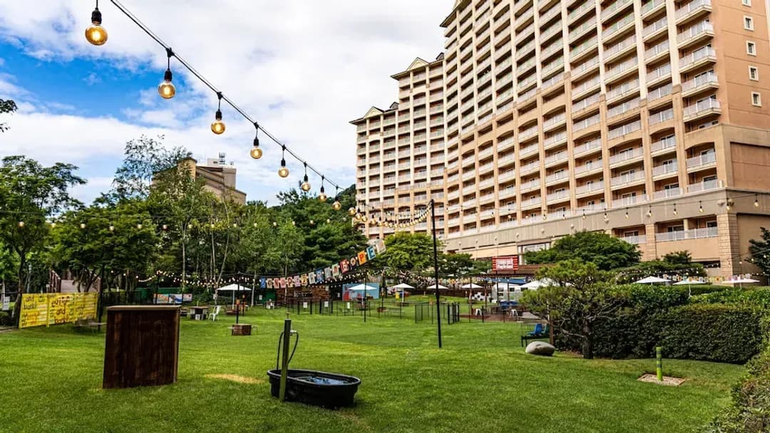 Gangwon-do-Sono Pet Clubs & Resorts VivaldiPark