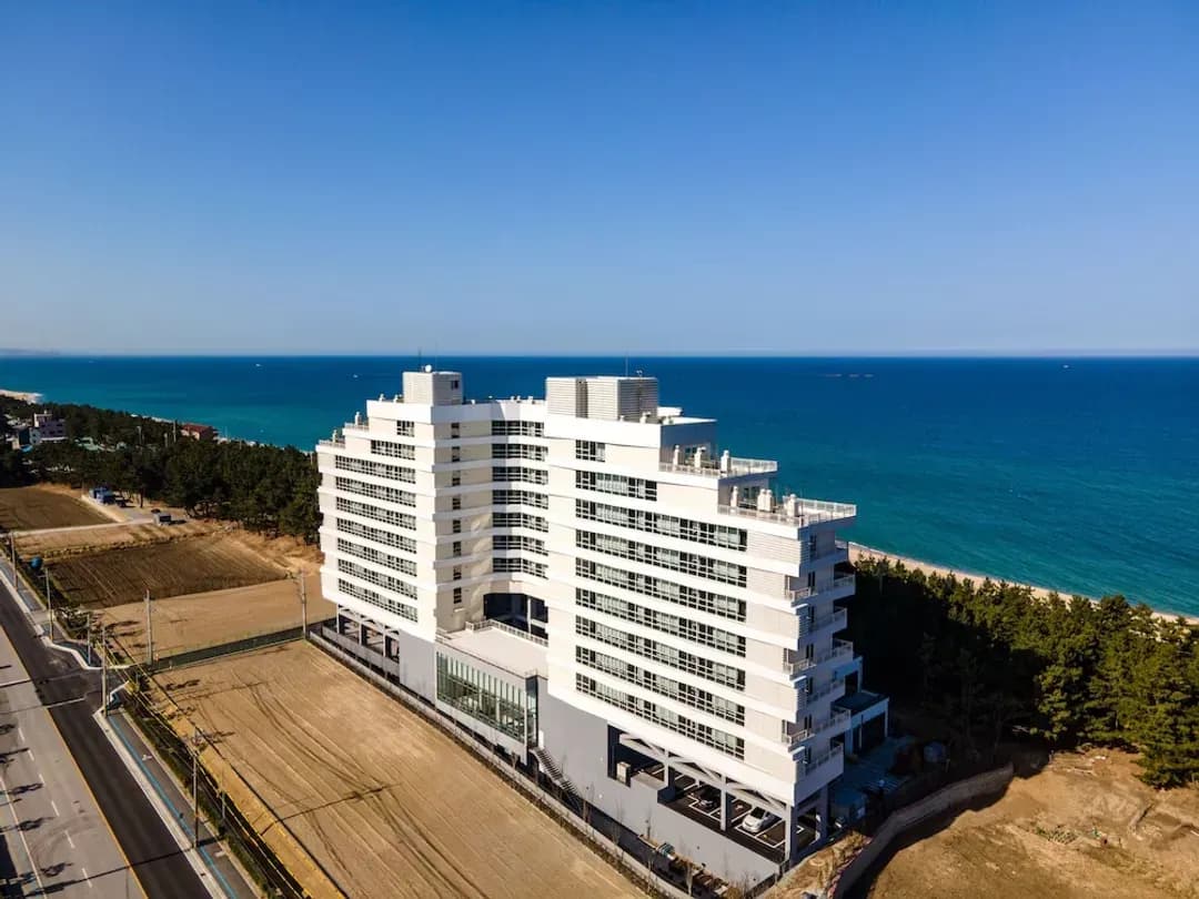 江原道-PINEART LABEL