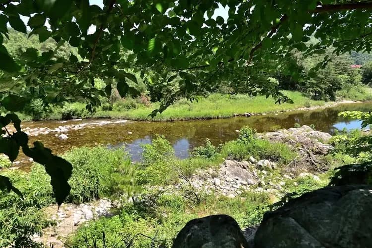 Lake