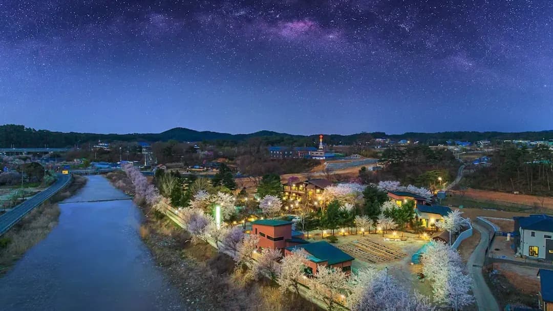 江原道-May Garden Forest