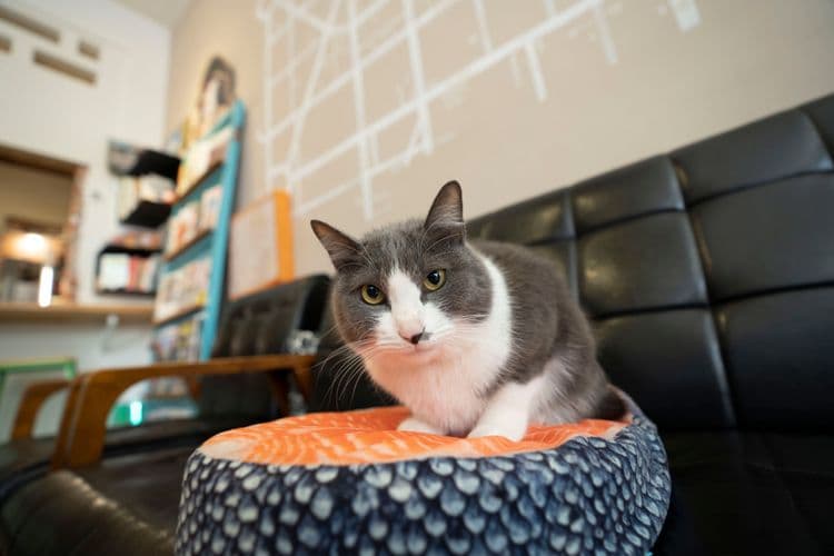 台南漫半拍 | 近國華街、赤崁樓-12