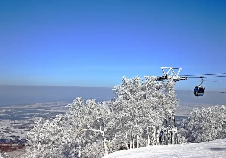 【主題旅遊】FUN_SKI滑雪趣．青森之泉滑雪5日遊(青森進出)