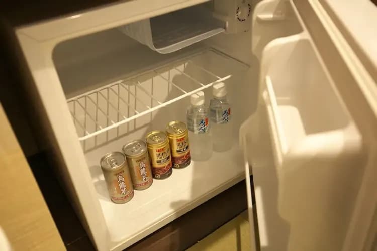 Mini-refrigerator