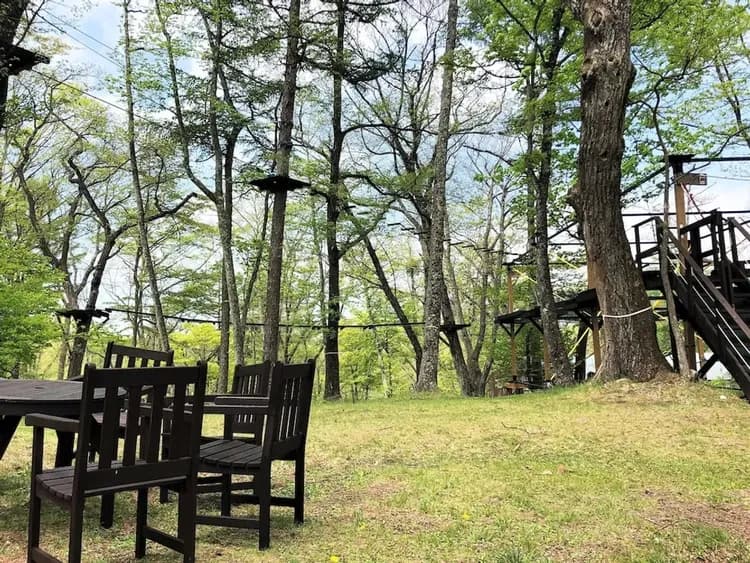 Ropes course (team building)