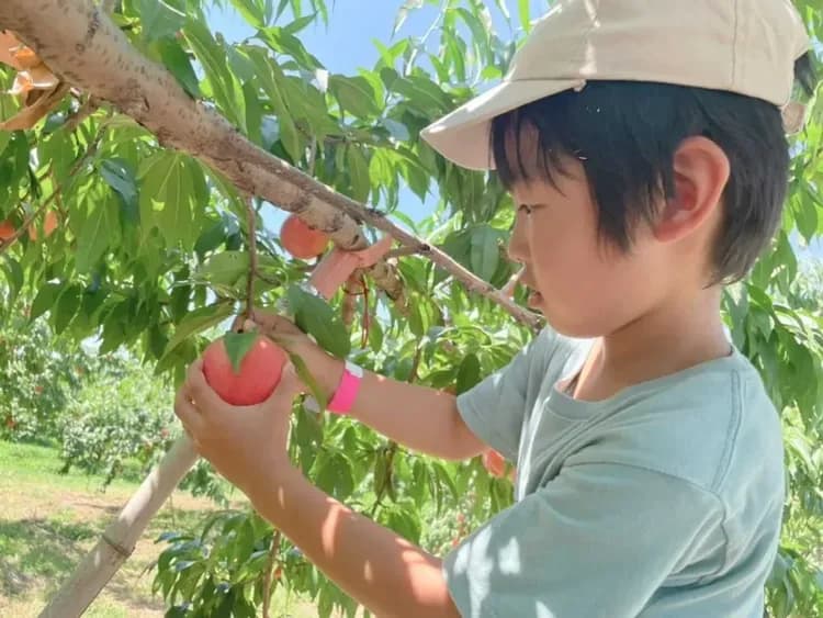 Children's activities