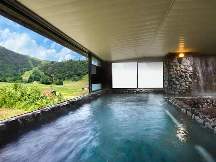 호텔 그린 플라자 하쿠바-3