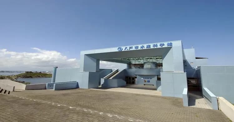 Land view from property