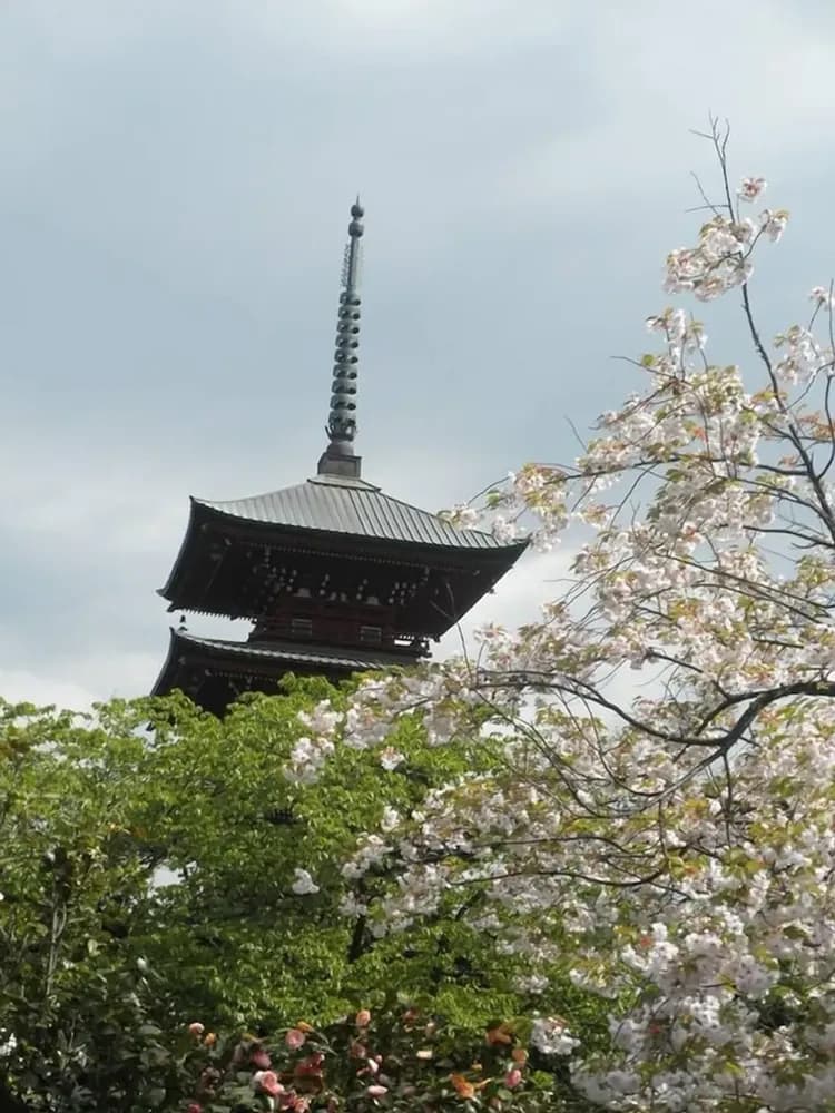 City view from property