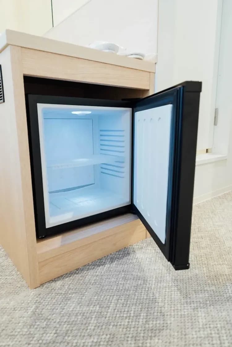 Mini-refrigerator