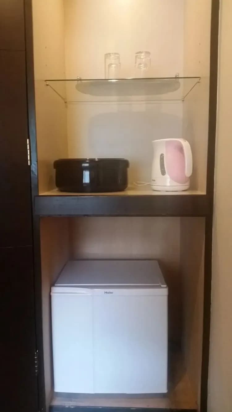 Mini-refrigerator