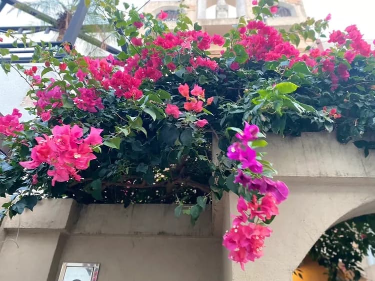 墾丁靚南灣民宿 | 可選購10-12人獨棟villa包棟 | 墾丁大街x後壁湖x白沙灣-16