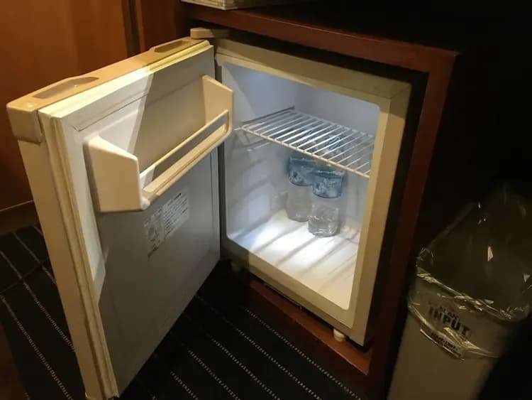 Mini-refrigerator