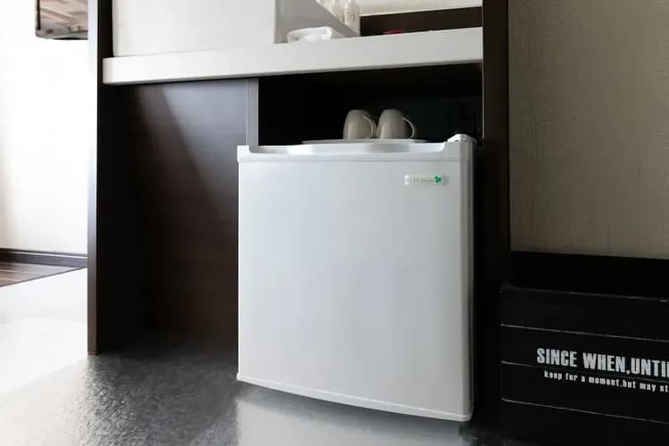 Mini-refrigerator