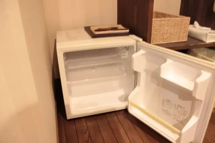 Mini-refrigerator