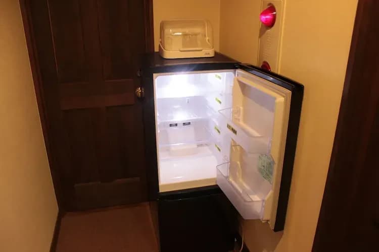 Mini-refrigerator