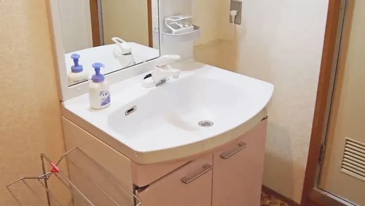 Bathroom sink