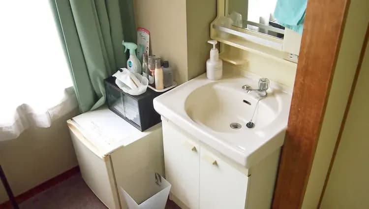 Bathroom sink